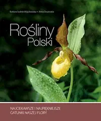 Rośliny Polski Hit sprzedaży