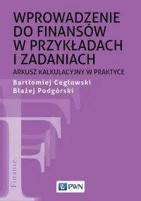 Nowość Wprowadzenie do finansów w przykładach i zadaniach. Arkusz kalkulacyjny w praktyce