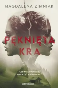 Pęknięta kra Wysoka jakość