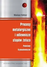 Procesy metalurgiczne i odlewnicze stopów żelaza. Podstawy fizykochemiczne Oferta czasowa
