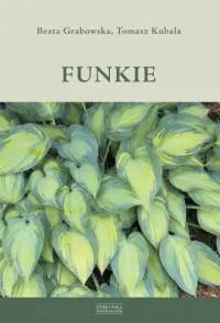 Tylko dziś Funkie