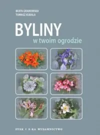 Rabat Byliny w twoim ogrodzie