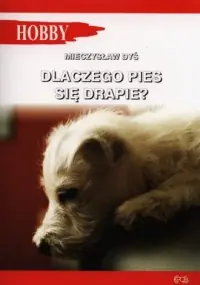 Wyprzedaż Dlaczego pies się drapie?