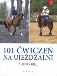 101 ćwiczeń na ujeżdżalni Najlepsza cena
