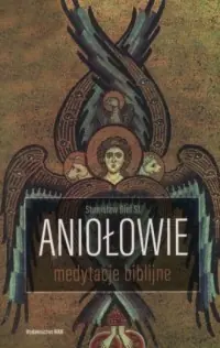 Oferta limitowana Aniołowie. Medytacje biblijne