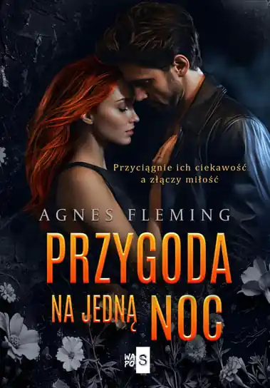 Przygoda na jedną noc Nowy