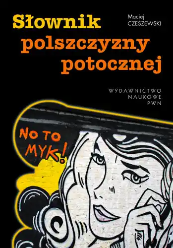 Słownik polszczyzny potocznej Super okazja