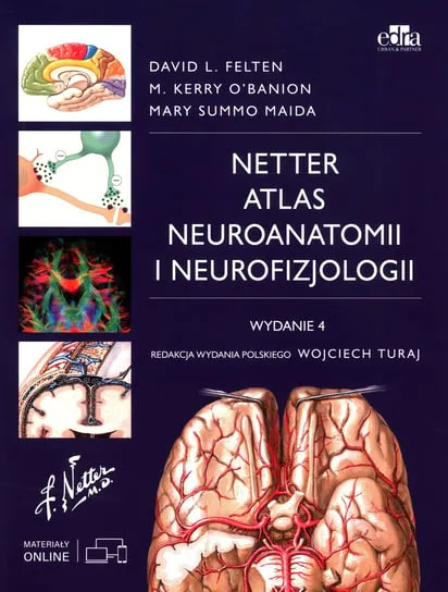 Atlas neuroanatomii i neurofizjologii Nettera Niska cena