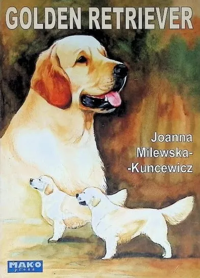 Nowość Golden retriever