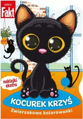 KOCUREK KRZYŚ Super okazja