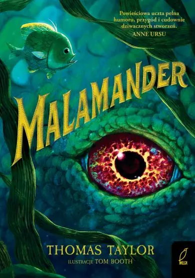 MALAMANDER Kup teraz