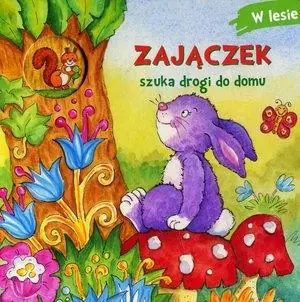 Ostatnia szansa ZAJĄCZEK SZUKA DROGI DO DOMU