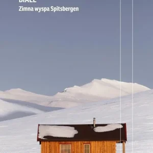 Białe Zimna wyspa Spitsbergen Hit sprzedaży