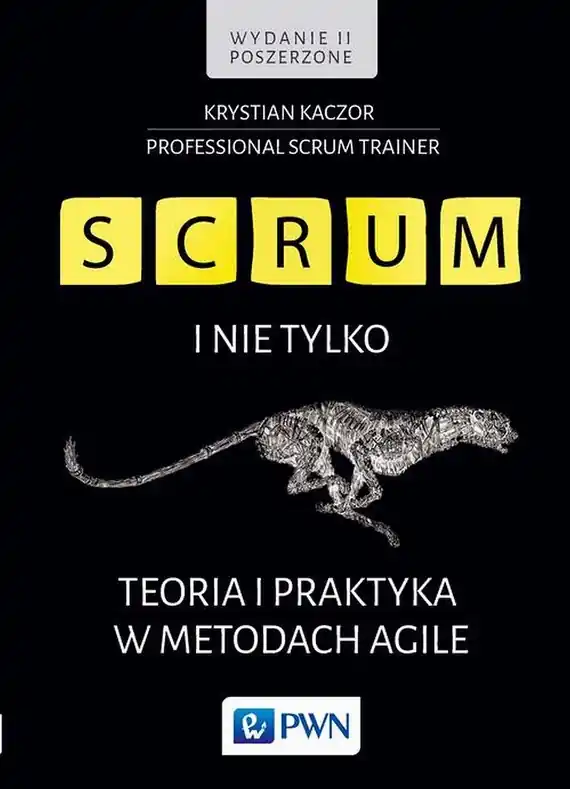SCRUM i nie tylko. Teoria i praktyka w metodach Agile Do wyczerpania zapasów