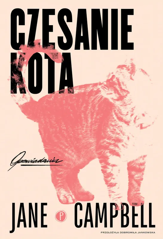 Bestseller Czesanie kota