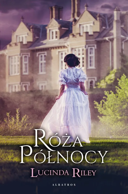 Róża północy Hit cenowy