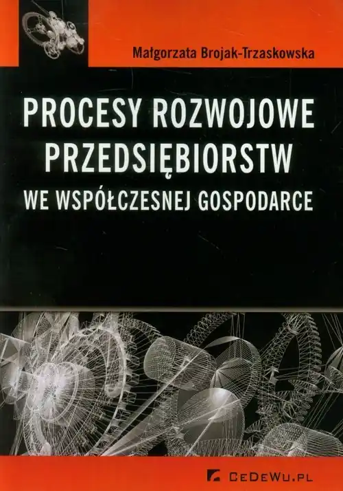 Procesy rozwojowe przedsiębiorstw we współczesnej gospodarce Okazja