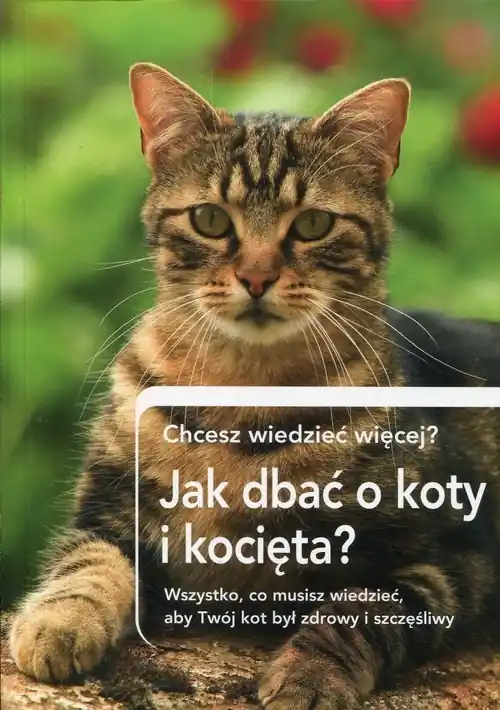 Jak dbać o koty i kocięta? Chcesz wiedzieć więcej? Wszystko, co musisz wiedzieć, aby Twój kot był zdrowy i szczęśliwy Sprawdź teraz