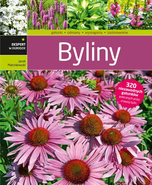 Nie przegap Byliny