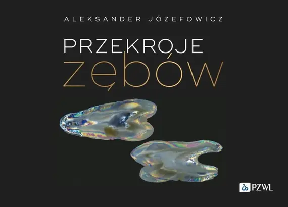 Hit sprzedaży Przekroje zębów