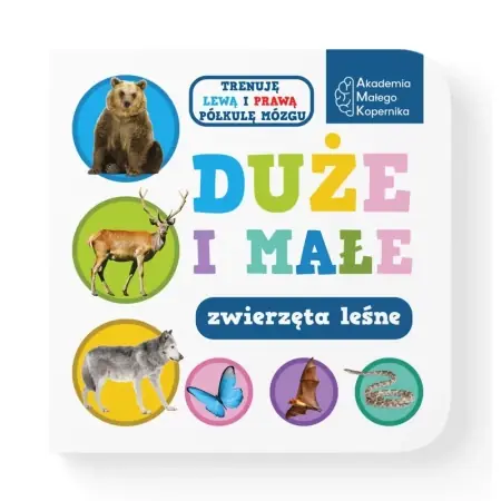 Bezpieczna płatność Duże i małe. Zwierzeta leśne - opracowanie zbiorowe