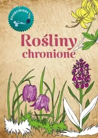 Kolorowanka Rośliny Chronione - Katarzyna Kopiec - Sekieta Tylko dziś