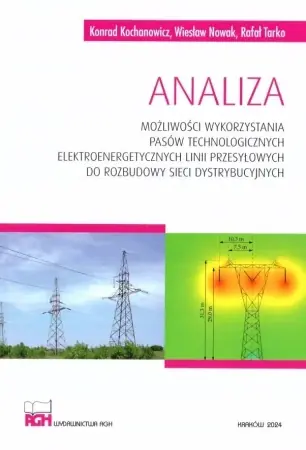 Szybka dostawa Analiza możliwości wykorzystania pasów technolog. - Rafał Tarko, Wiesław Nowak, Konrad Kochanowicz