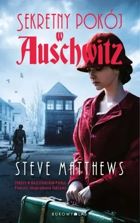 Sekretny pokój w Auschwitz - Steve Matthews Najlepsza cena