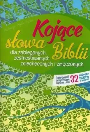 Premium Kojące słowa Biblii dla zabieganych.. - Agata Ryska